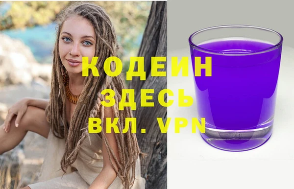 дурь Алексин