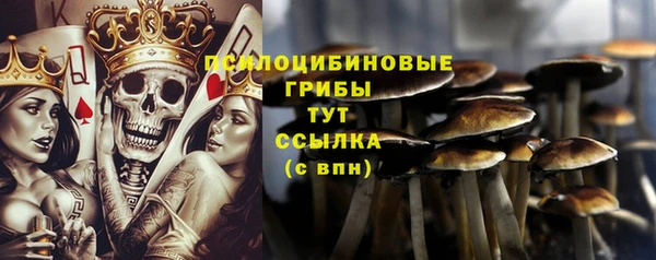 твердый Алексеевка